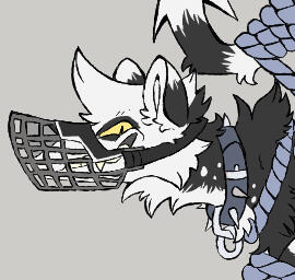Badger in shibari gear